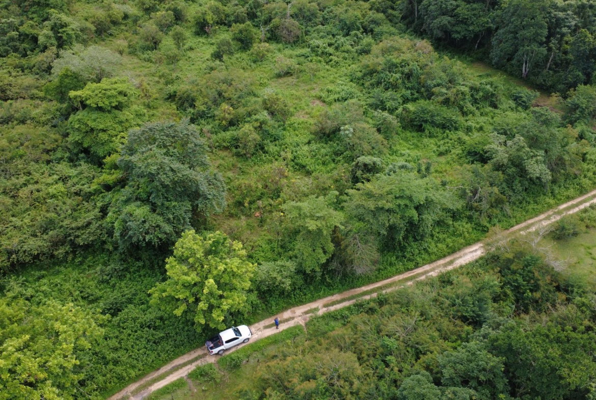 Sixth image of 123 Oxford, Balaclava, St. el in Balaclava, St. Elizabeth, Jamaica - property is For Sale