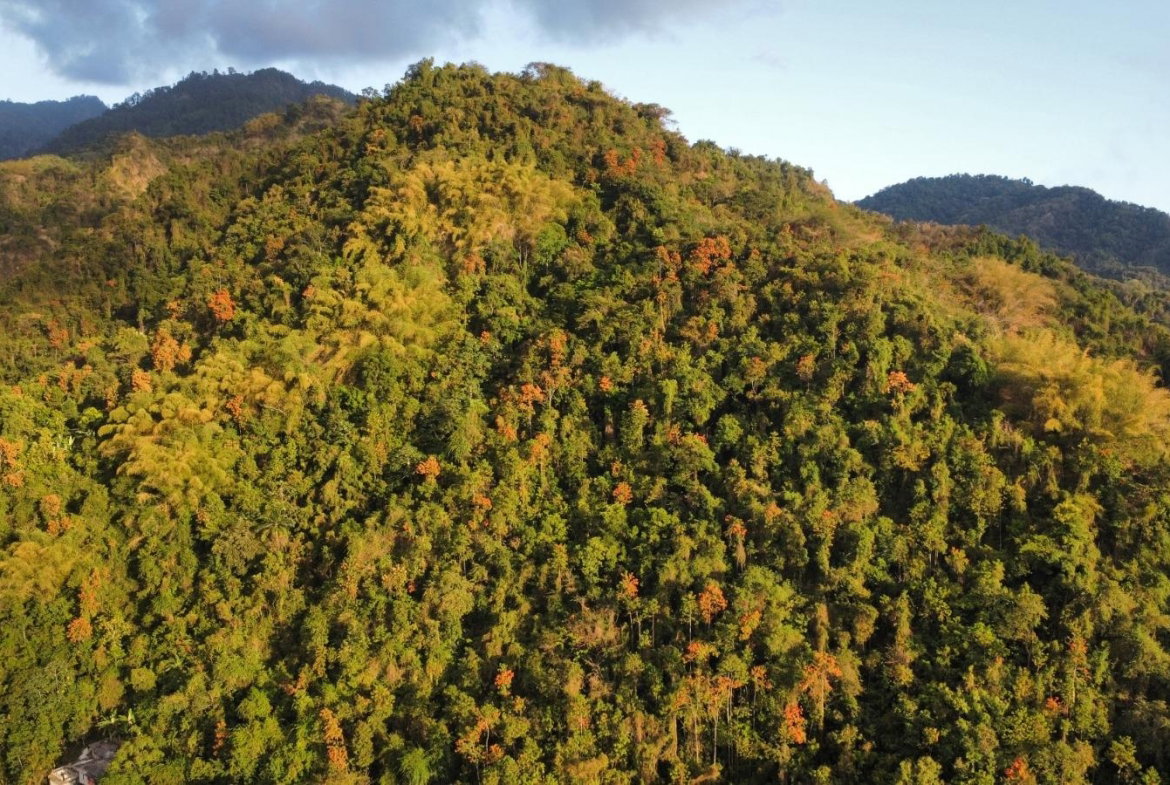 Second image of Land Part of Galemount in Gordon Town P.O., St. Andrew, Jamaica - property is For Sale