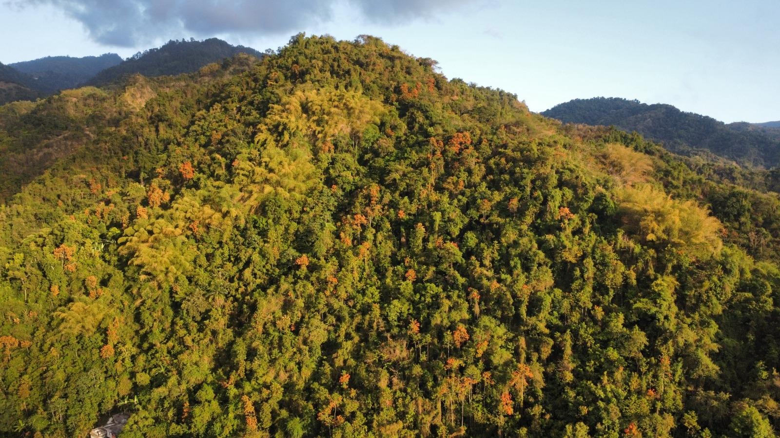 20-Acre-Development-Land-for-Sale-in-Galemount-St.-Andrew-Jamaica Second image of Land Part of Galemount in Gordon Town P.O., St. Andrew, Jamaica - property is For Sale