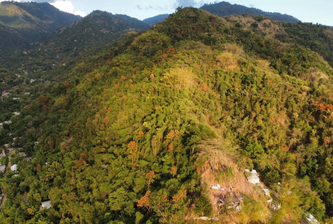 First image of Land Part of Galemount in Gordon Town P.O., St. Andrew, Jamaica - property is For Sale