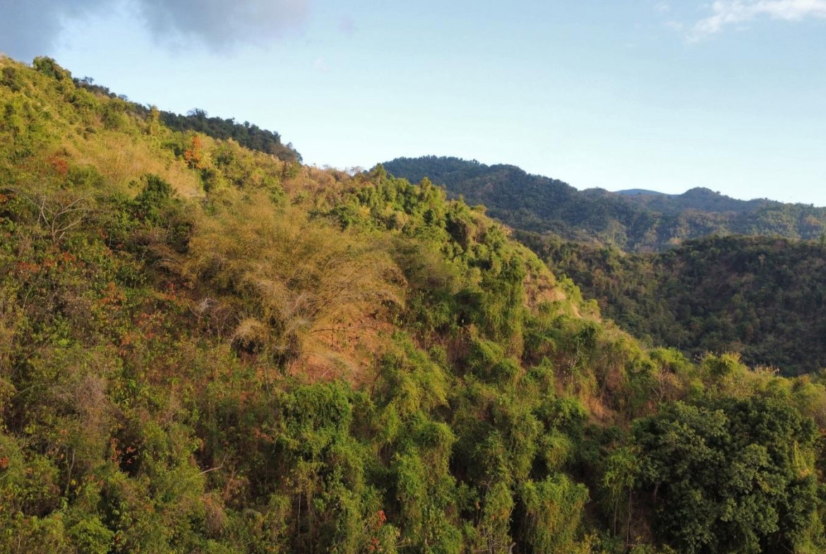 Third image of Land Part of Galemount in Gordon Town P.O., St. Andrew, Jamaica - property is For Sale