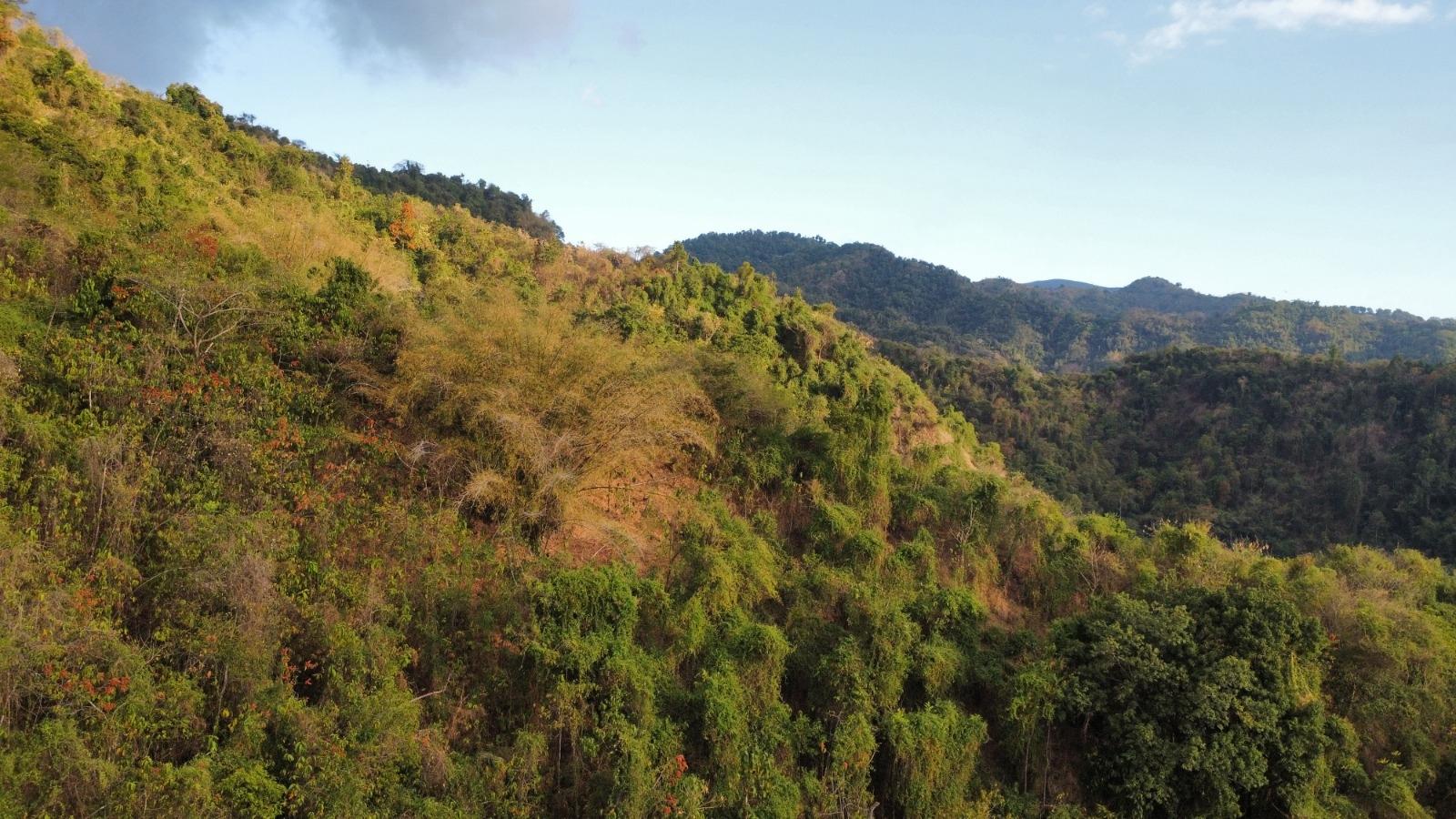 20-Acre-Development-Land-for-Sale-in-Galemount-St.-Andrew-Jamaica Third image of Land Part of Galemount in Gordon Town P.O., St. Andrew, Jamaica - property is For Sale