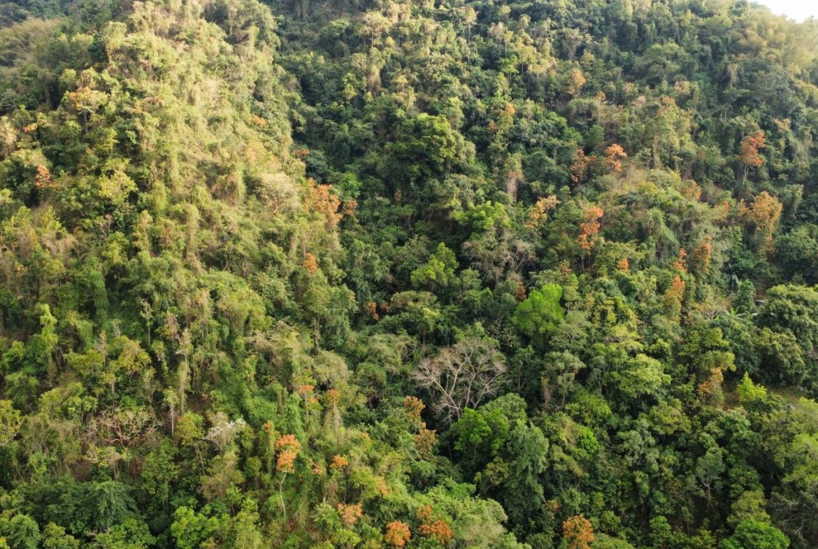 Fourth image of Land Part of Galemount in Gordon Town P.O., St. Andrew, Jamaica - property is For Sale