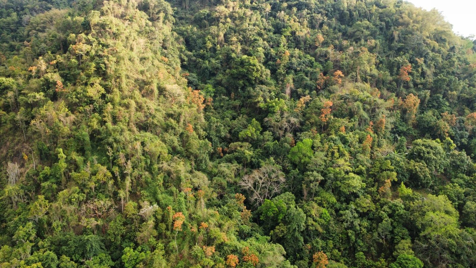 20-Acre-Development-Land-for-Sale-in-Galemount-St.-Andrew-Jamaica Fourth image of Land Part of Galemount in Gordon Town P.O., St. Andrew, Jamaica - property is For Sale