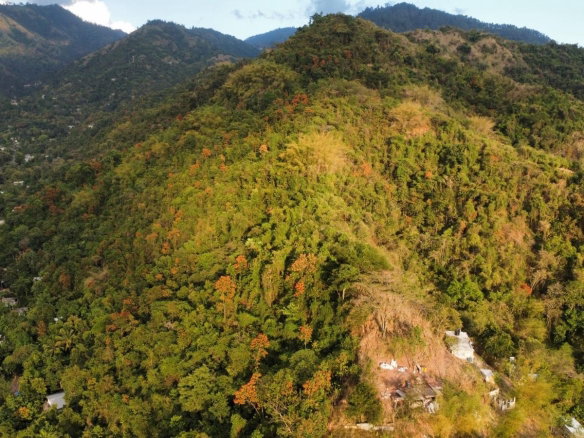 First image of Land Part of Galemount in Gordon Town P.O., St. Andrew, Jamaica - property is For Sale