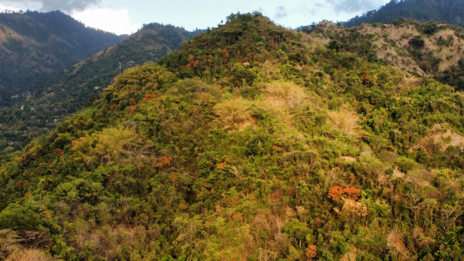 20-Acre-Development-Land-for-Sale-in-Galemount-St.-Andrew-Jamaica Eighth image of Land Part of Galemount in Gordon Town P.O., St. Andrew, Jamaica - property is For Sale