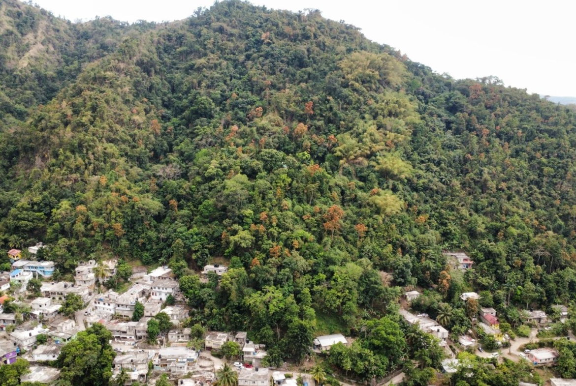 Ninth image of Land Part of Galemount in Gordon Town P.O., St. Andrew, Jamaica - property is For Sale