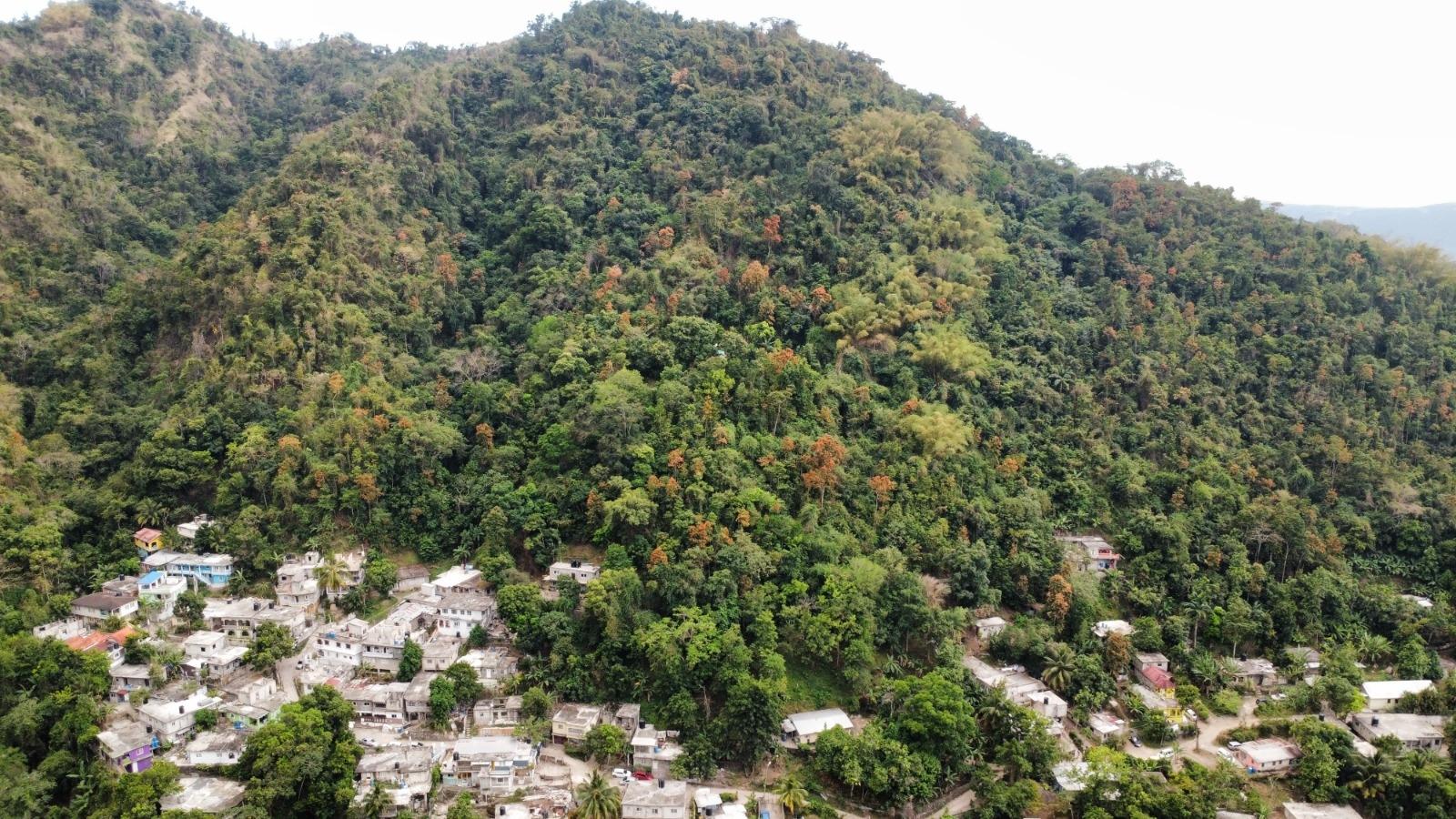 20-Acre-Development-Land-for-Sale-in-Galemount-St.-Andrew-Jamaica Ninth image of Land Part of Galemount in Gordon Town P.O., St. Andrew, Jamaica - property is For Sale