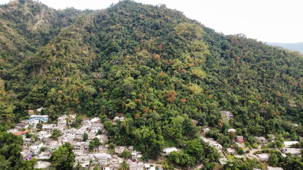 Ninth image of Land Part of Galemount in Gordon Town P.O., St. Andrew, Jamaica - property is For Sale