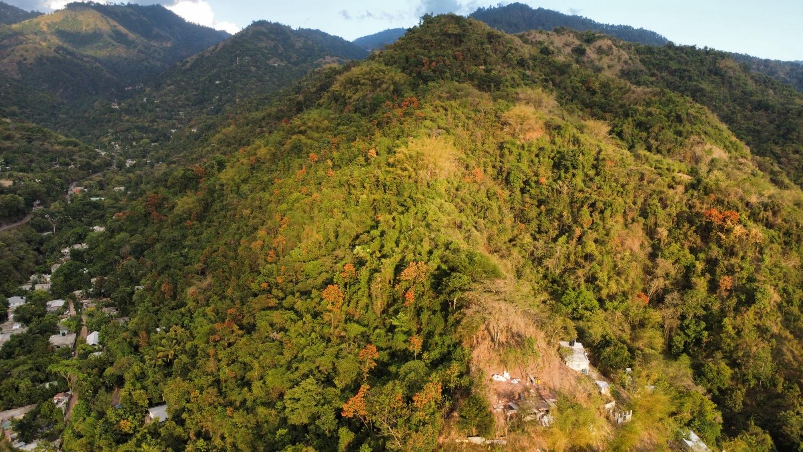 20-Acre-Development-Land-for-Sale-in-Galemount-St.-Andrew-Jamaica First image of Land Part of Galemount in Gordon Town P.O., St. Andrew, Jamaica - property is For Sale