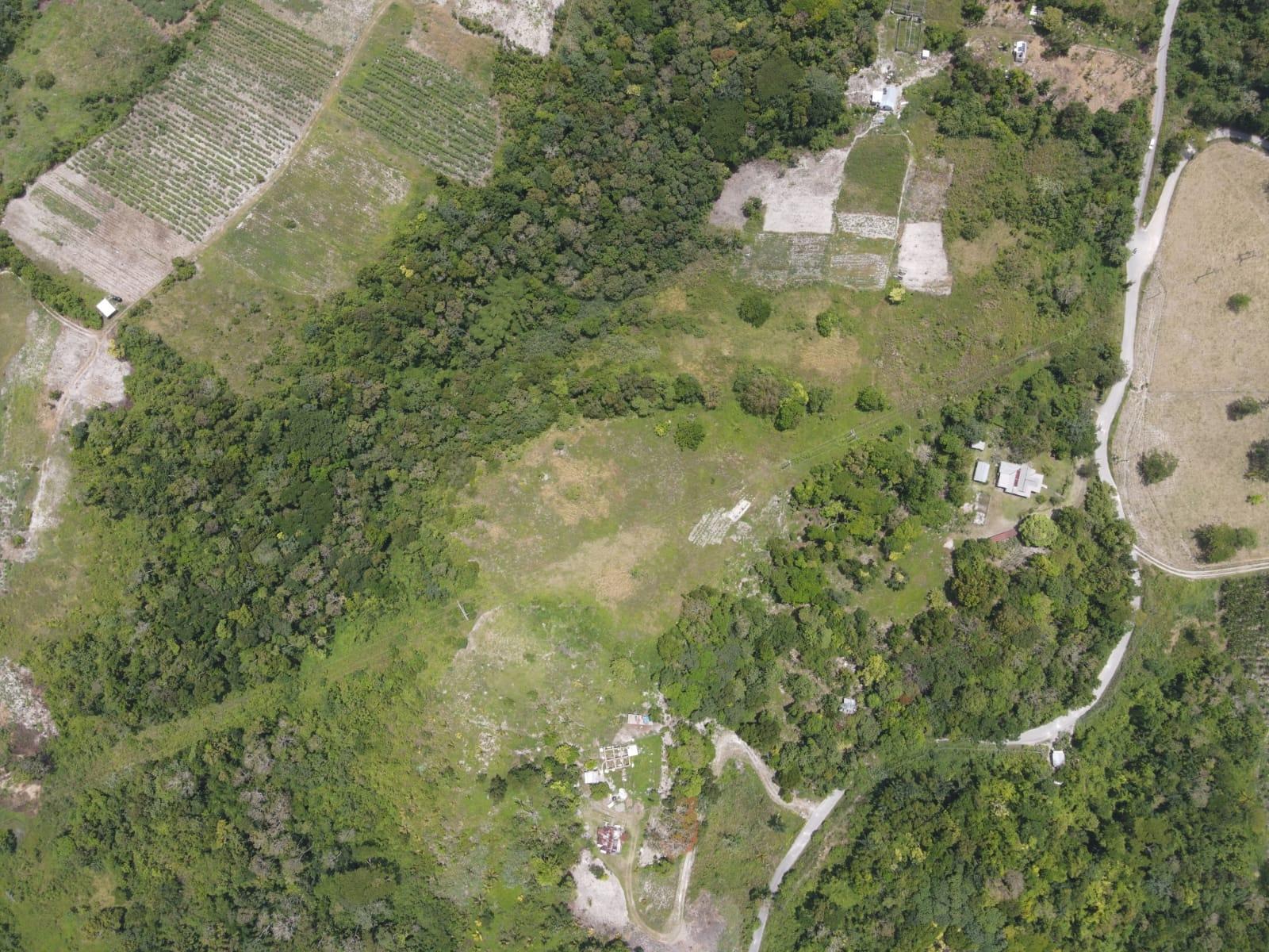 28-Acre-Development-Land-for-Sale-in-Mango-Valley-St.-Mary-Jamaica Third image of Part of Fellowship Hall in Mango Valley, St. Mary, Jamaica - property is For Sale