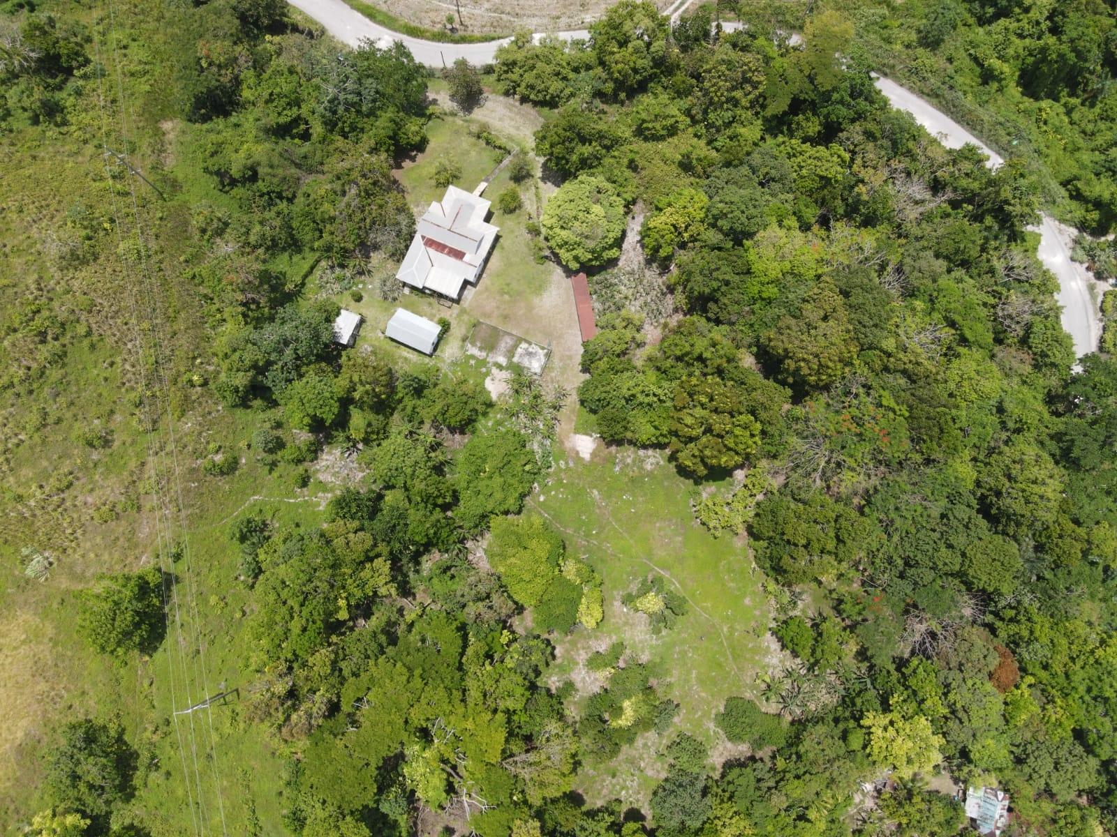 28-Acre-Development-Land-for-Sale-in-Mango-Valley-St.-Mary-Jamaica First image of Part of Fellowship Hall in Mango Valley, St. Mary, Jamaica - property is For Sale
