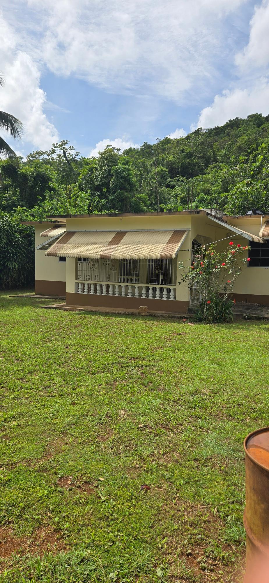 3-Bedroom-House-for-Rent-in-Phoenix-Park-Moneague-St.-Ann-Jamaica Sixteenth image of Phoenix Park Moneague in Moneague, St. Ann, Jamaica - property is For Rent