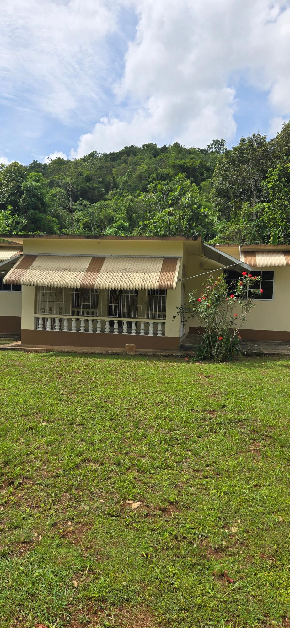 3-Bedroom-House-for-Rent-in-Phoenix-Park-Moneague-St.-Ann-Jamaica Fourth image of Phoenix Park Moneague in Moneague, St. Ann, Jamaica - property is For Rent