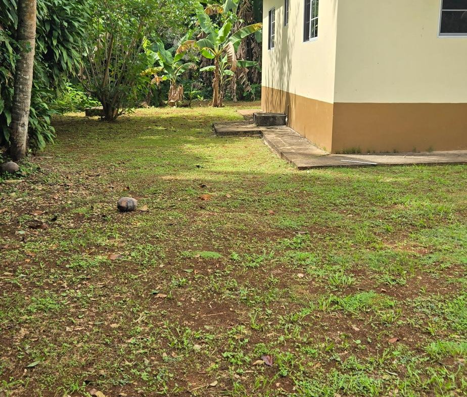 Seventh image of Phoenix Park Moneague in Moneague, St. Ann, Jamaica - property is For Rent
