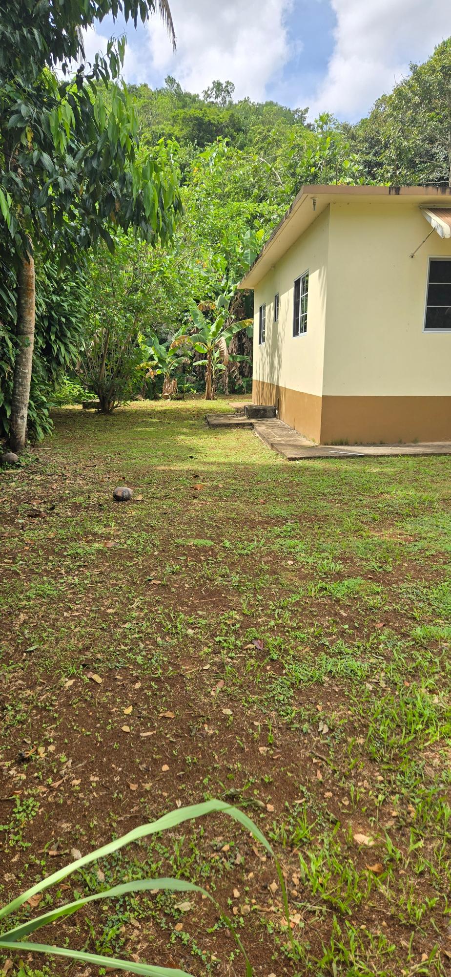 3-Bedroom-House-for-Rent-in-Phoenix-Park-Moneague-St.-Ann-Jamaica Seventh image of Phoenix Park Moneague in Moneague, St. Ann, Jamaica - property is For Rent