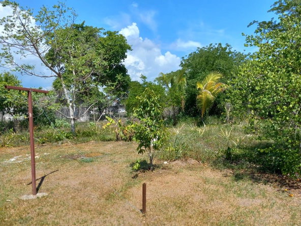 Eleventh image of 17 Chateau Road, May Pen in Chateau, Clarendon, Jamaica - property is For Sale