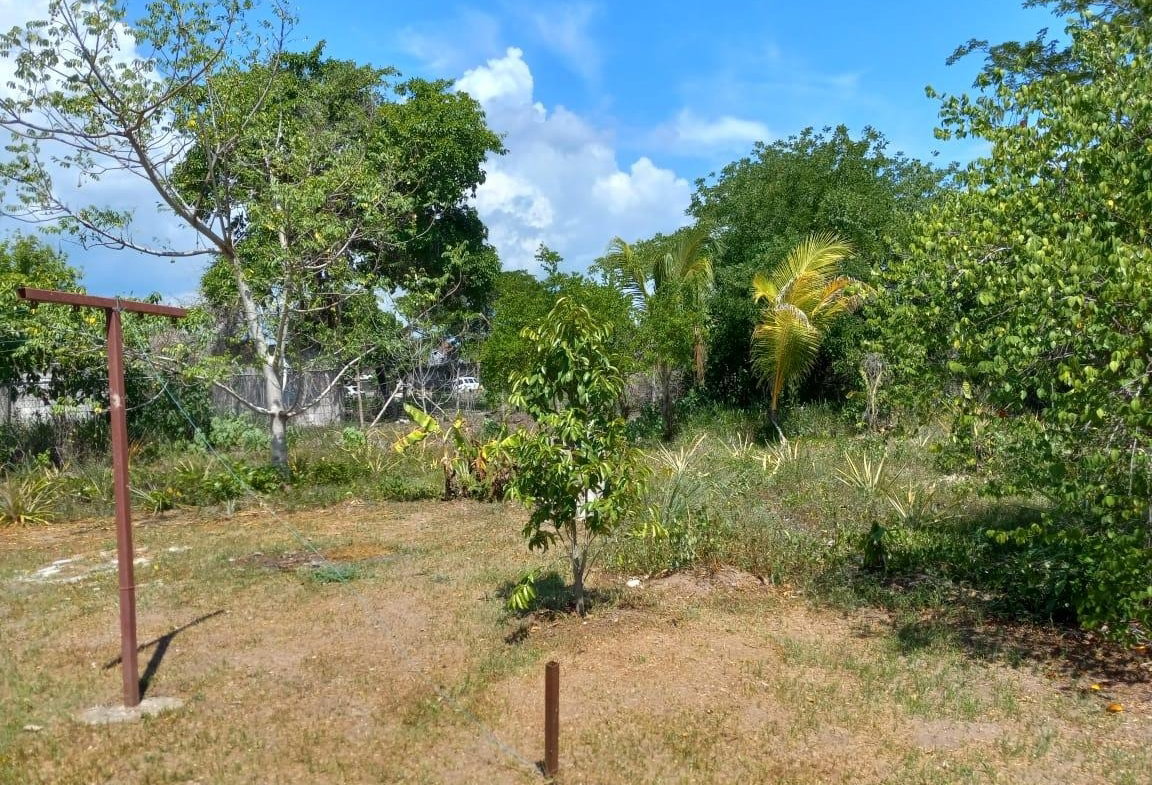 Fourteenth image of 17 Chateau Road, May Pen in Chateau, Clarendon, Jamaica - property is For Sale