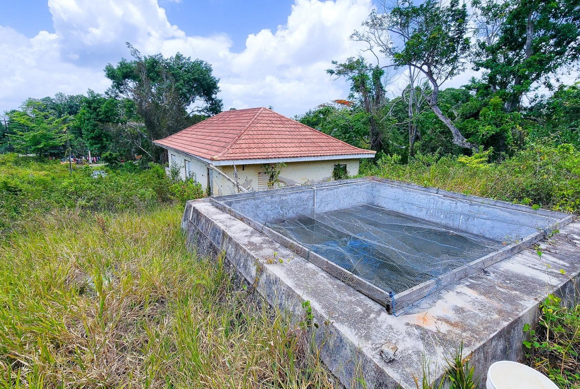 Fourth image of Pratville Road in Knockpatrick, Manchester, Jamaica - property is For Sale