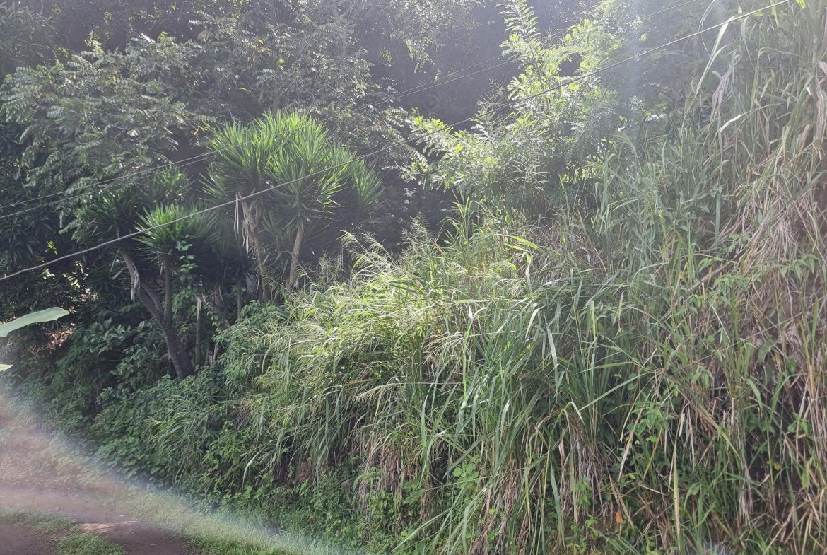 Second image of 74 Dublin Castle, Gordon Tow in Gordon Town P.O., St. Andrew, Jamaica - property is For Sale