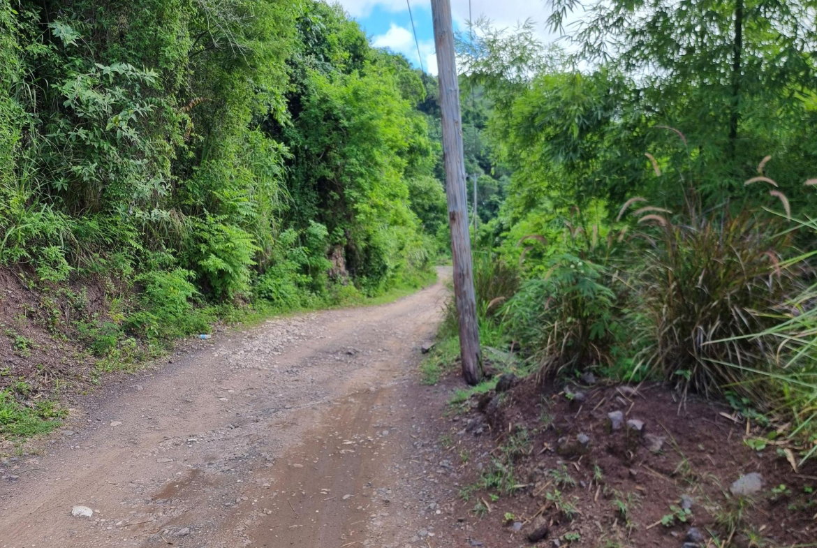 Third image of 74 Dublin Castle, Gordon Tow in Gordon Town P.O., St. Andrew, Jamaica - property is For Sale
