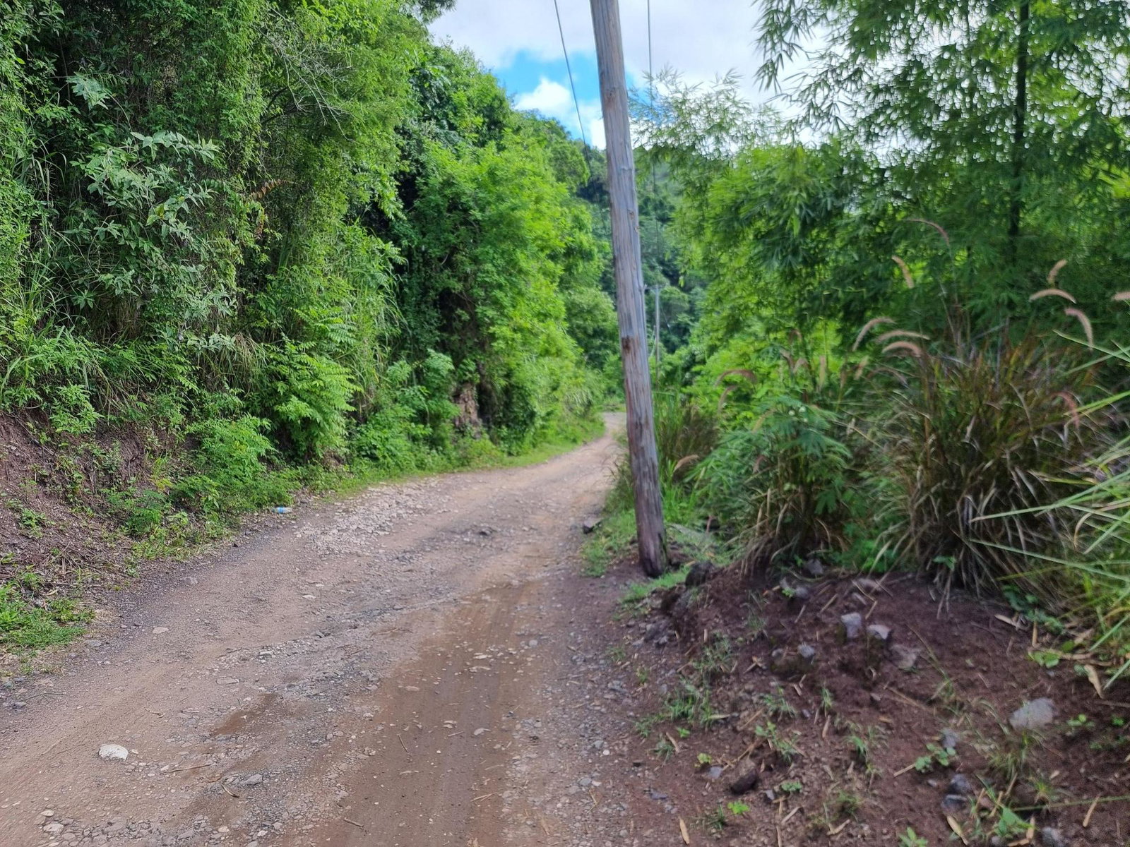 Third image of 74 Dublin Castle, Gordon Tow in Gordon Town P.O., St. Andrew, Jamaica - property is For Sale