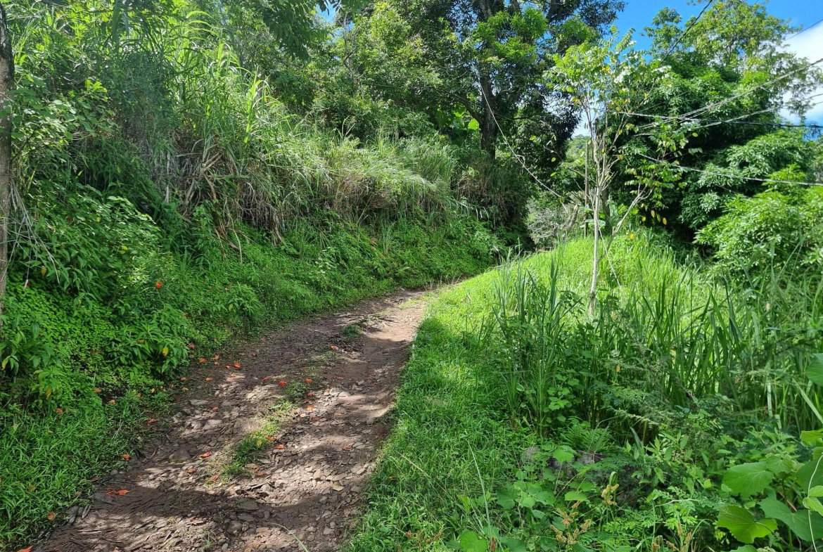 Fourth image of 74 Dublin Castle, Gordon Tow in Gordon Town P.O., St. Andrew, Jamaica - property is For Sale