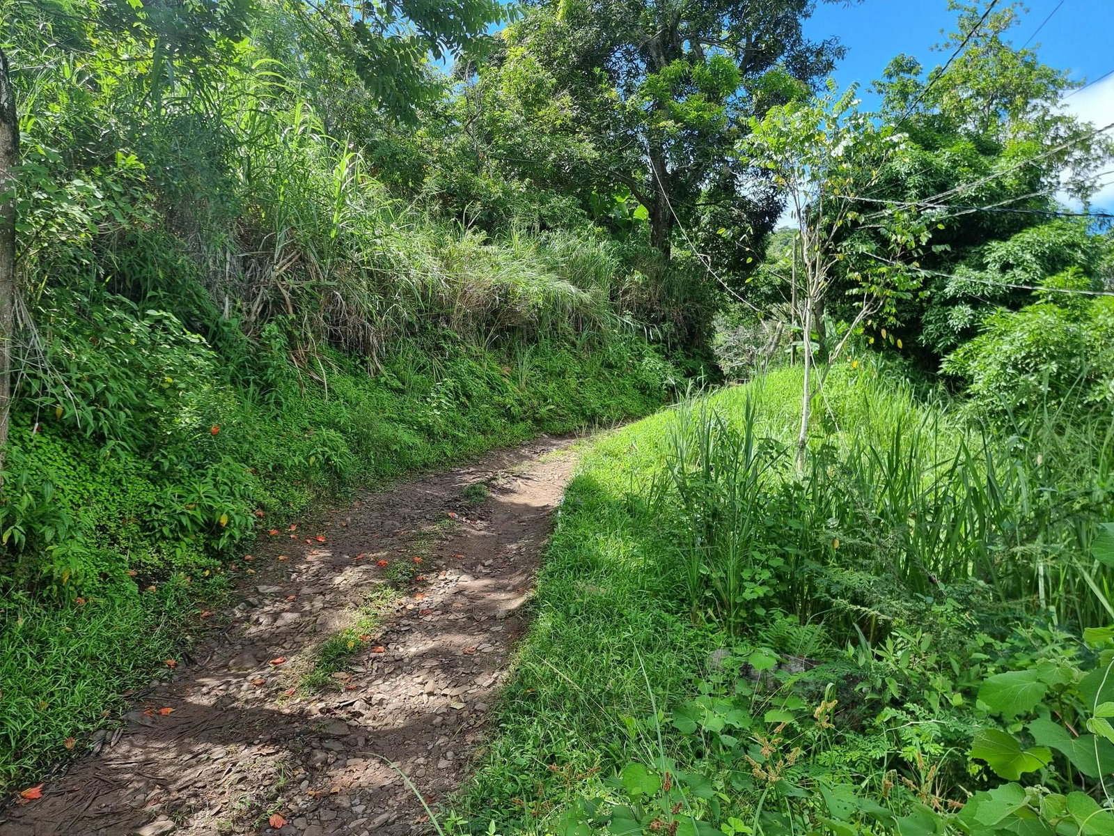 Fourth image of 74 Dublin Castle, Gordon Tow in Gordon Town P.O., St. Andrew, Jamaica - property is For Sale