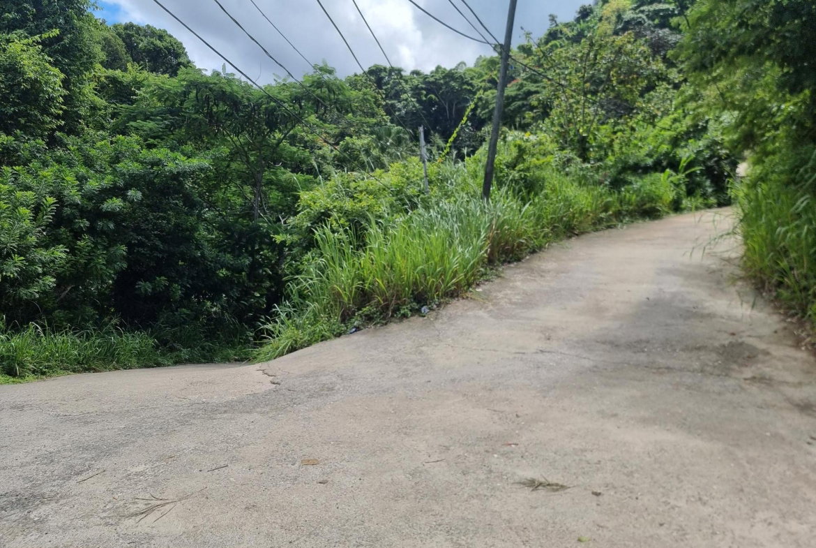 Fifth image of 74 Dublin Castle, Gordon Tow in Gordon Town P.O., St. Andrew, Jamaica - property is For Sale