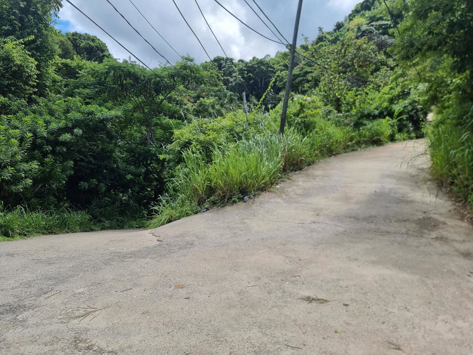 Fifth image of 74 Dublin Castle, Gordon Tow in Gordon Town P.O., St. Andrew, Jamaica - property is For Sale