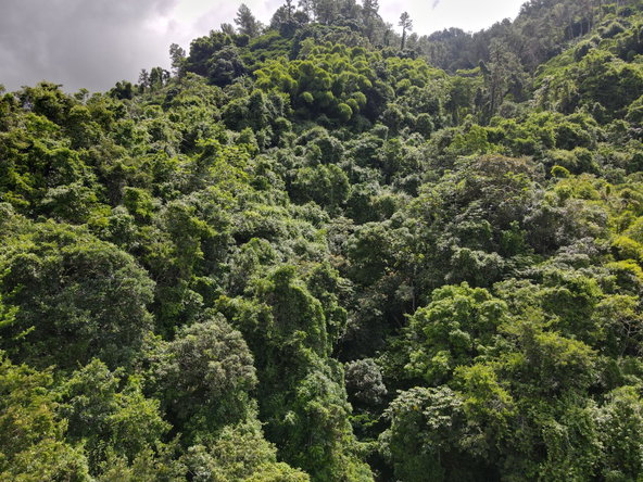 Sixth image of 74 Dublin Castle, Gordon Tow in Gordon Town P.O., St. Andrew, Jamaica - property is For Sale