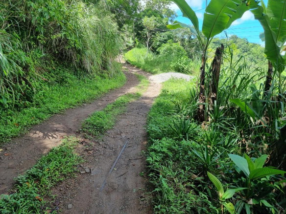 First image of 74 Dublin Castle, Gordon Tow in Gordon Town P.O., St. Andrew, Jamaica - property is For Sale