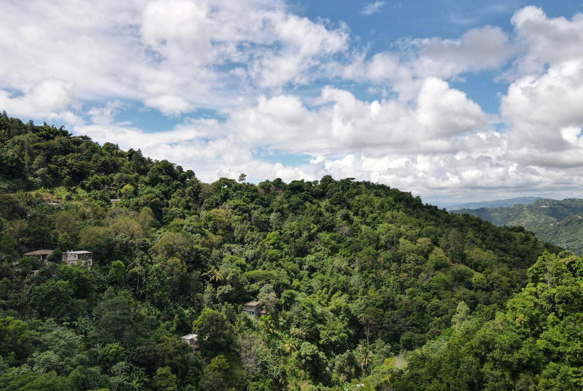 Eighth image of 74 Dublin Castle, Gordon Tow in Gordon Town P.O., St. Andrew, Jamaica - property is For Sale