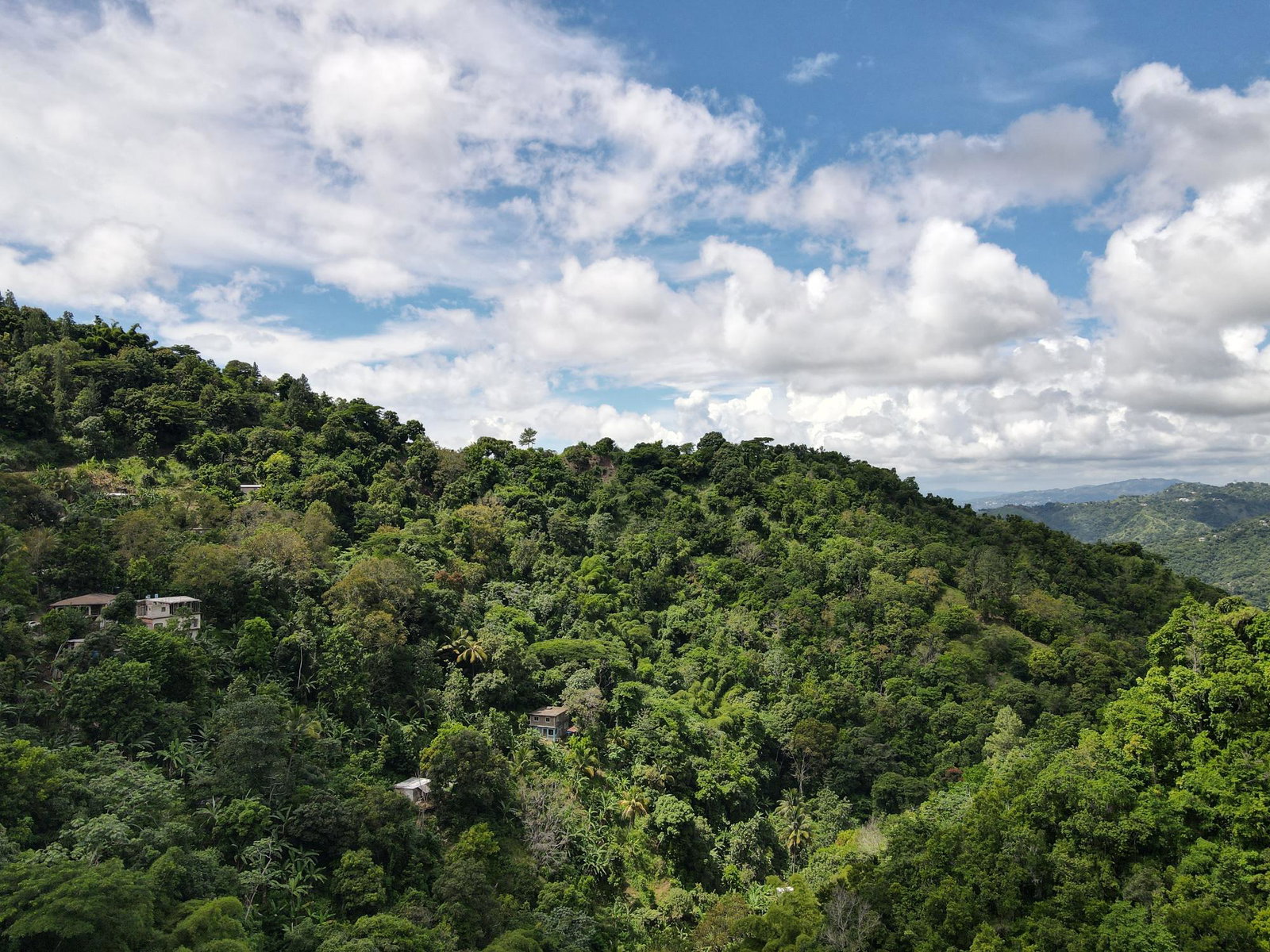 Eighth image of 74 Dublin Castle, Gordon Tow in Gordon Town P.O., St. Andrew, Jamaica - property is For Sale