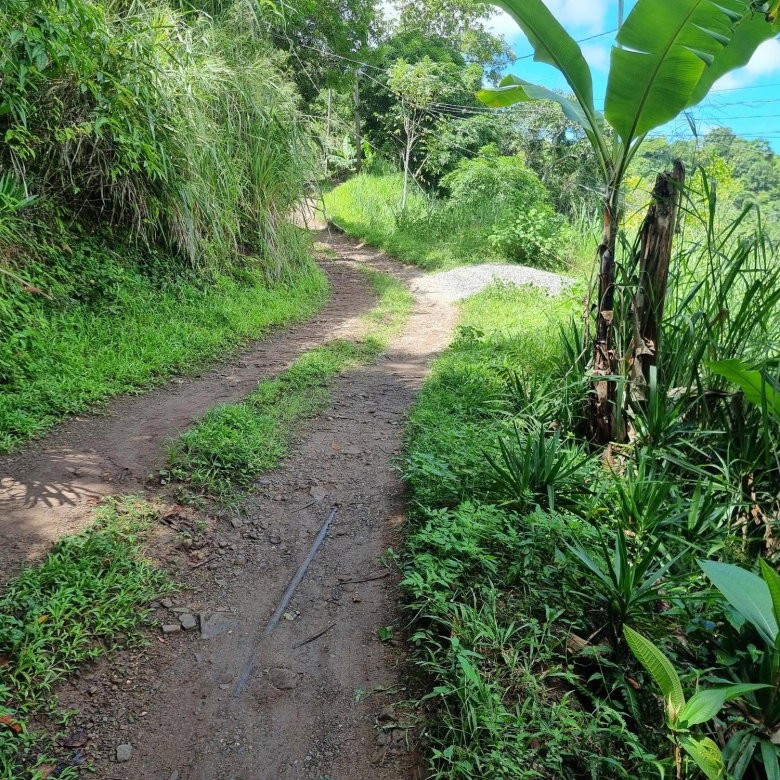 First image of 74 Dublin Castle, Gordon Tow in Gordon Town P.O., St. Andrew, Jamaica - property is For Sale