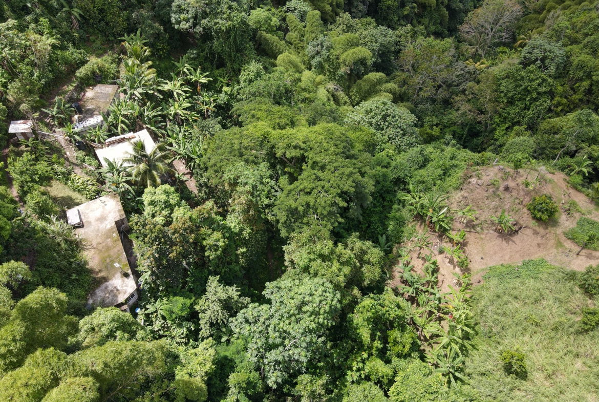 Ninth image of 74 Dublin Castle, Gordon Tow in Gordon Town P.O., St. Andrew, Jamaica - property is For Sale