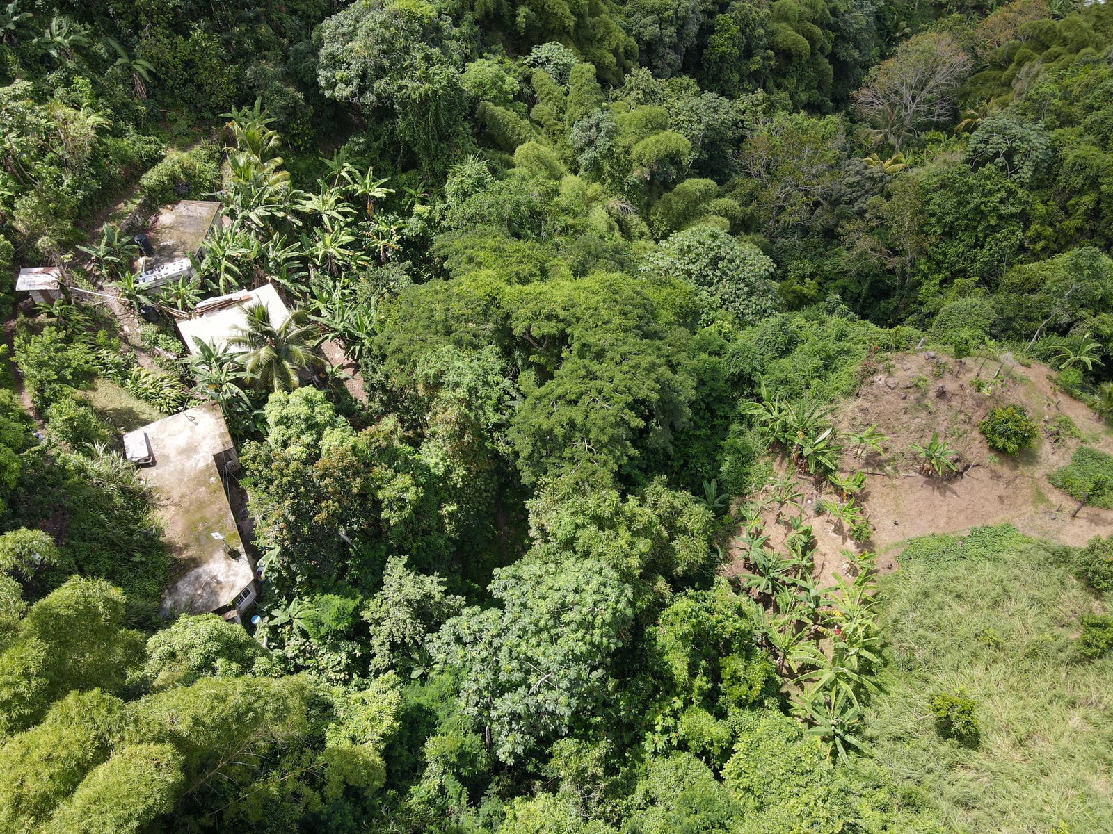 Ninth image of 74 Dublin Castle, Gordon Tow in Gordon Town P.O., St. Andrew, Jamaica - property is For Sale