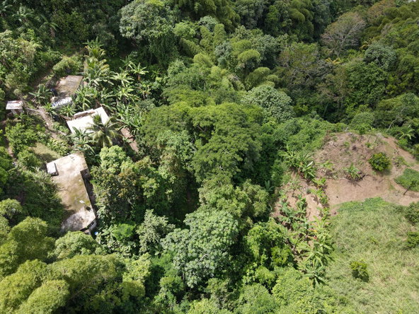 Ninth image of 74 Dublin Castle, Gordon Tow in Gordon Town P.O., St. Andrew, Jamaica - property is For Sale