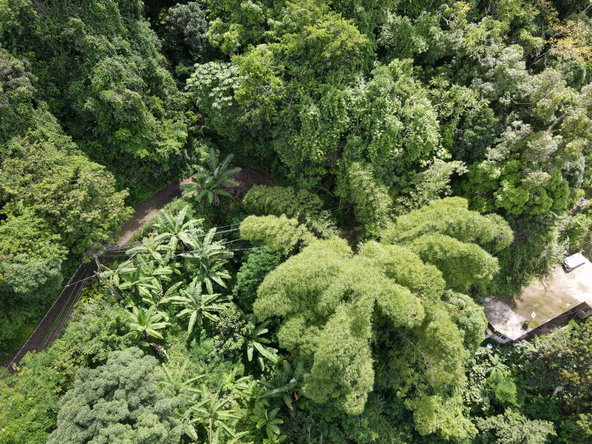 Tenth image of 74 Dublin Castle, Gordon Tow in Gordon Town P.O., St. Andrew, Jamaica - property is For Sale