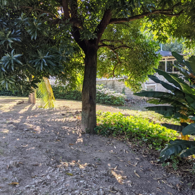 First image of 31 Norbrook Road in Kingston 8, St. Andrew, Jamaica - property is For Sale