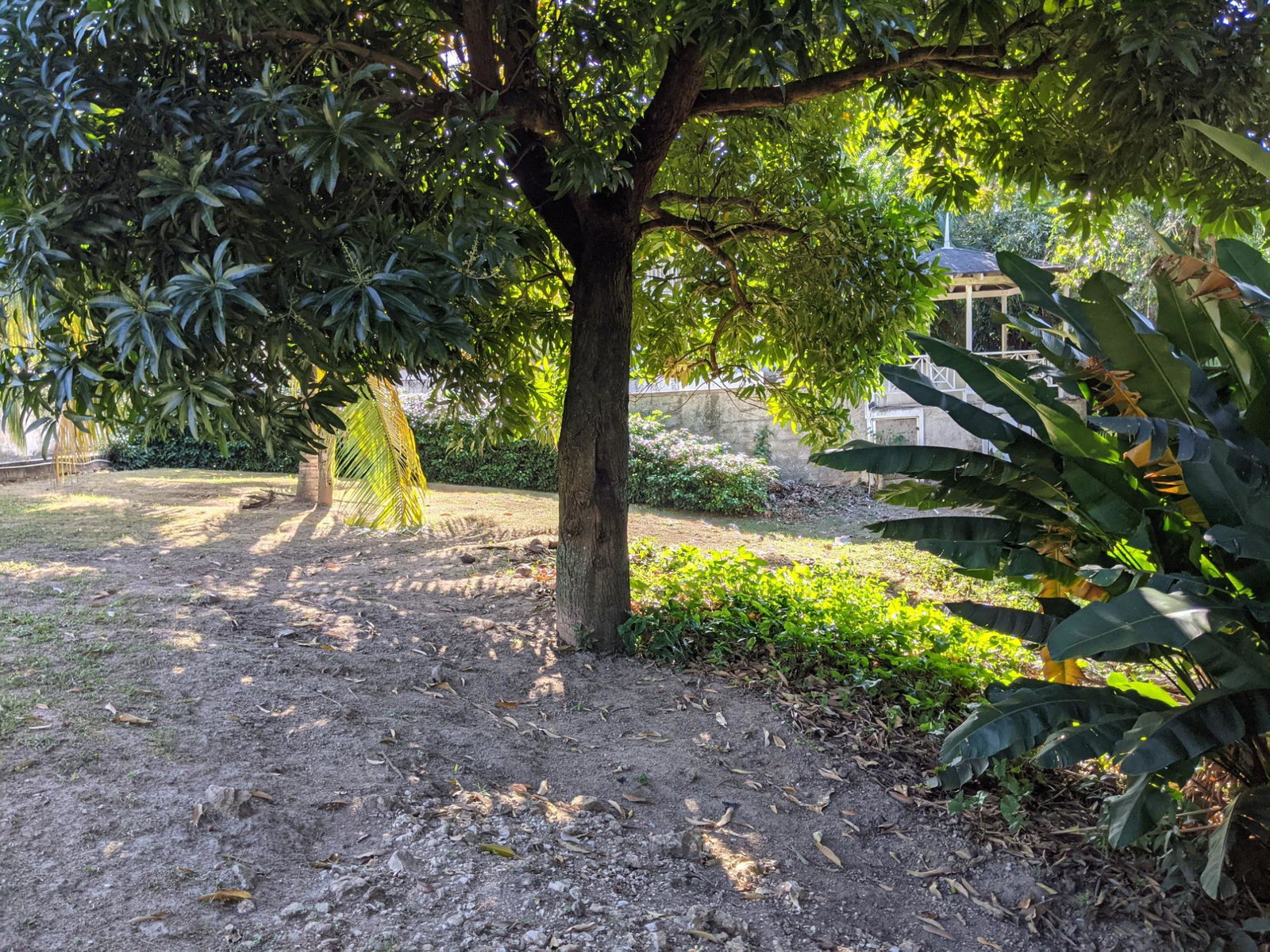 4-Bedroom-Fixer-Upper-House-for-Sale-in-Norbrook-St.-Andrew-Jamaica First image of 31 Norbrook Road in Kingston 8, St. Andrew, Jamaica - property is For Sale