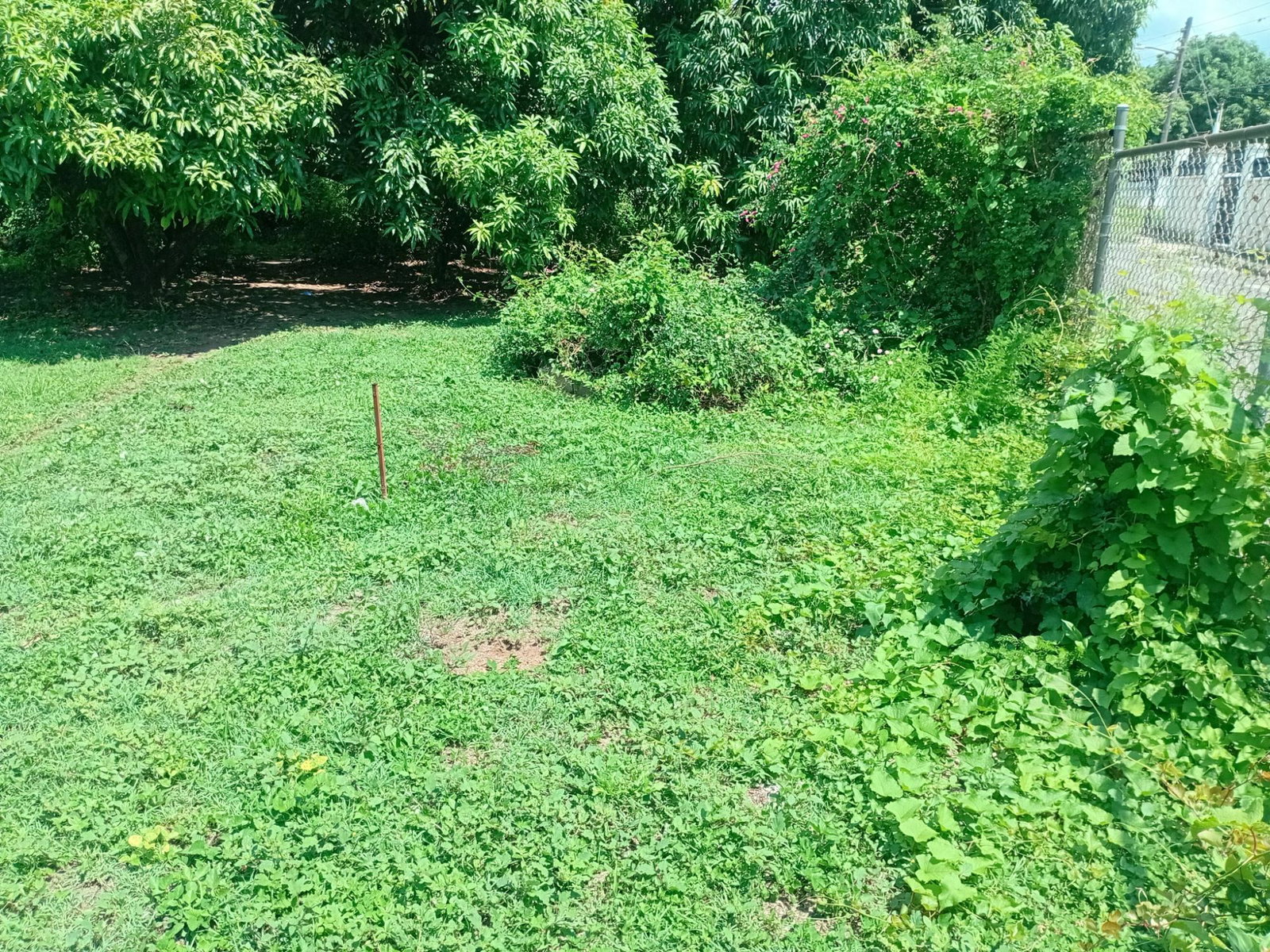 Fifteenth image of 40 Allerdyce Road Kingston 8 in Kingston 8, St. Andrew, Jamaica - property is For Sale