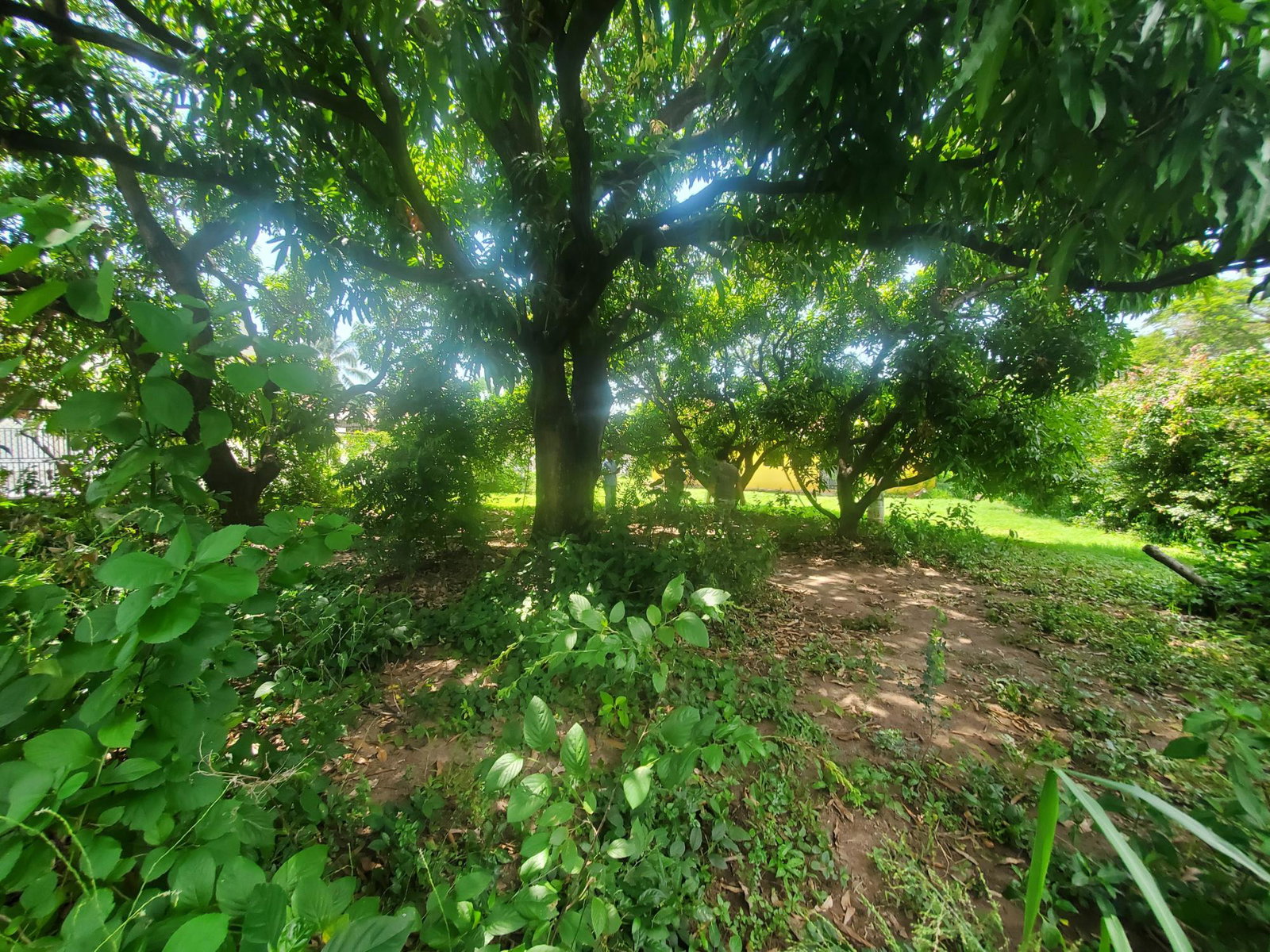 Ninth image of 40 Allerdyce Road Kingston 8 in Kingston 8, St. Andrew, Jamaica - property is For Sale
