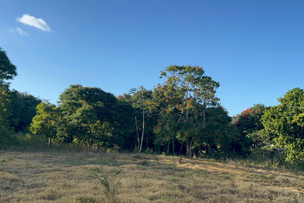 Second image of 235 Phoenix Park in Moneague, St. Ann, Jamaica - property is For Sale