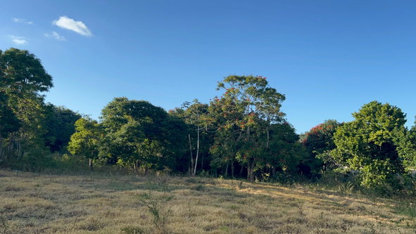 Second image of 235 Phoenix Park in Moneague, St. Ann, Jamaica - property is For Sale