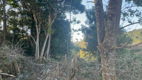 Eleventh image of 235 Phoenix Park in Moneague, St. Ann, Jamaica - property is For Sale
