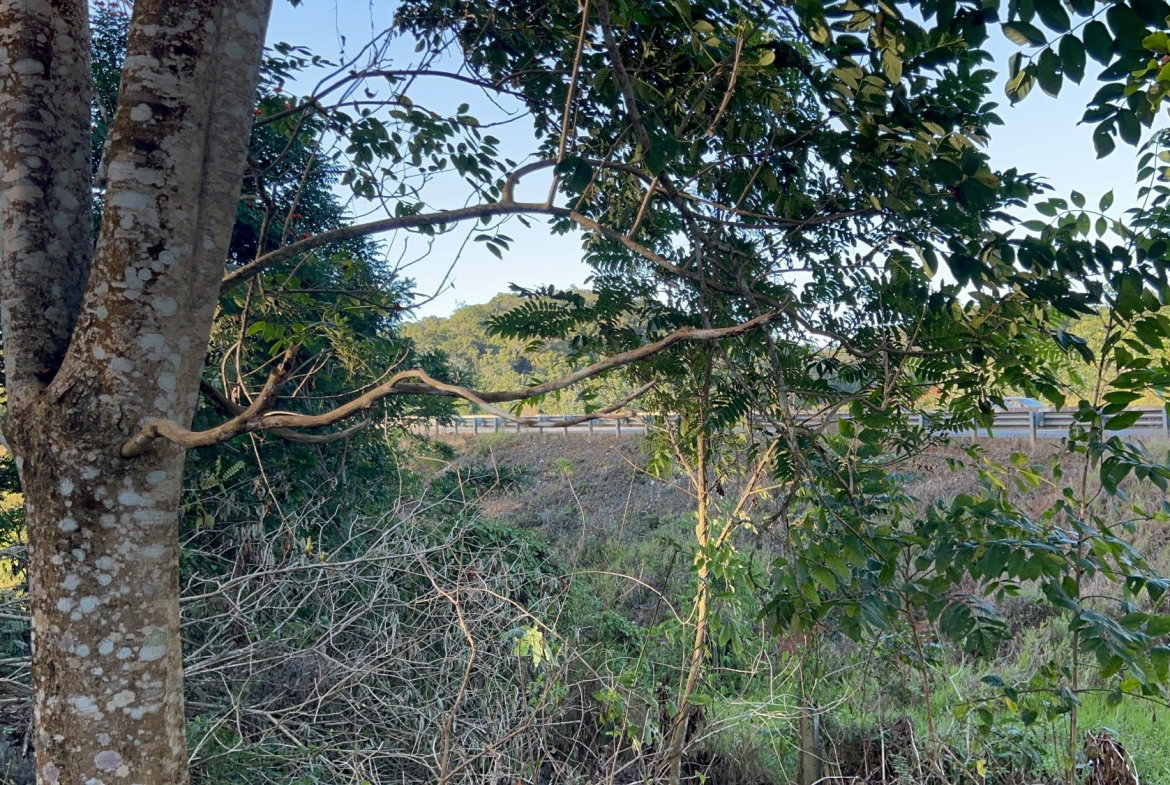 Twelfth image of 235 Phoenix Park in Moneague, St. Ann, Jamaica - property is For Sale
