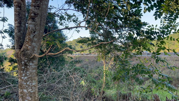 Twelfth image of 235 Phoenix Park in Moneague, St. Ann, Jamaica - property is For Sale
