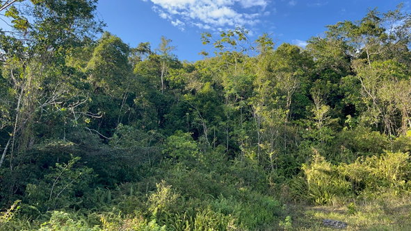 Thirteenth image of 235 Phoenix Park in Moneague, St. Ann, Jamaica - property is For Sale