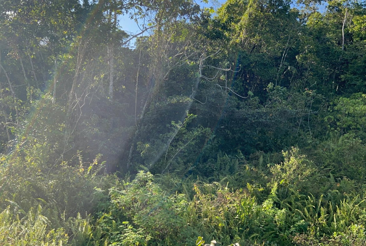 Third image of 235 Phoenix Park in Moneague, St. Ann, Jamaica - property is For Sale